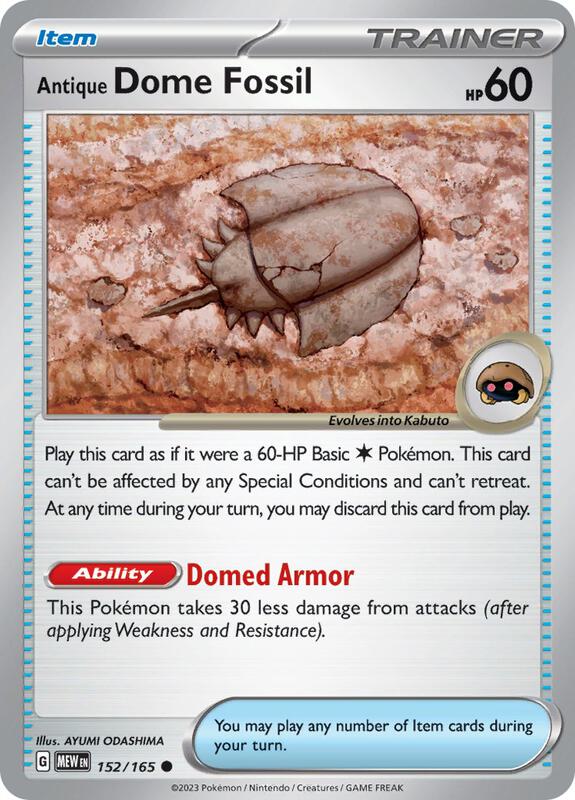 Antique Dome Fossil