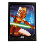 Star Wars: Unlimited: Art Sleeves