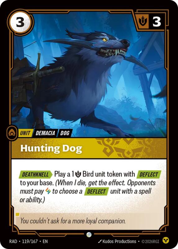 Hunting Dog