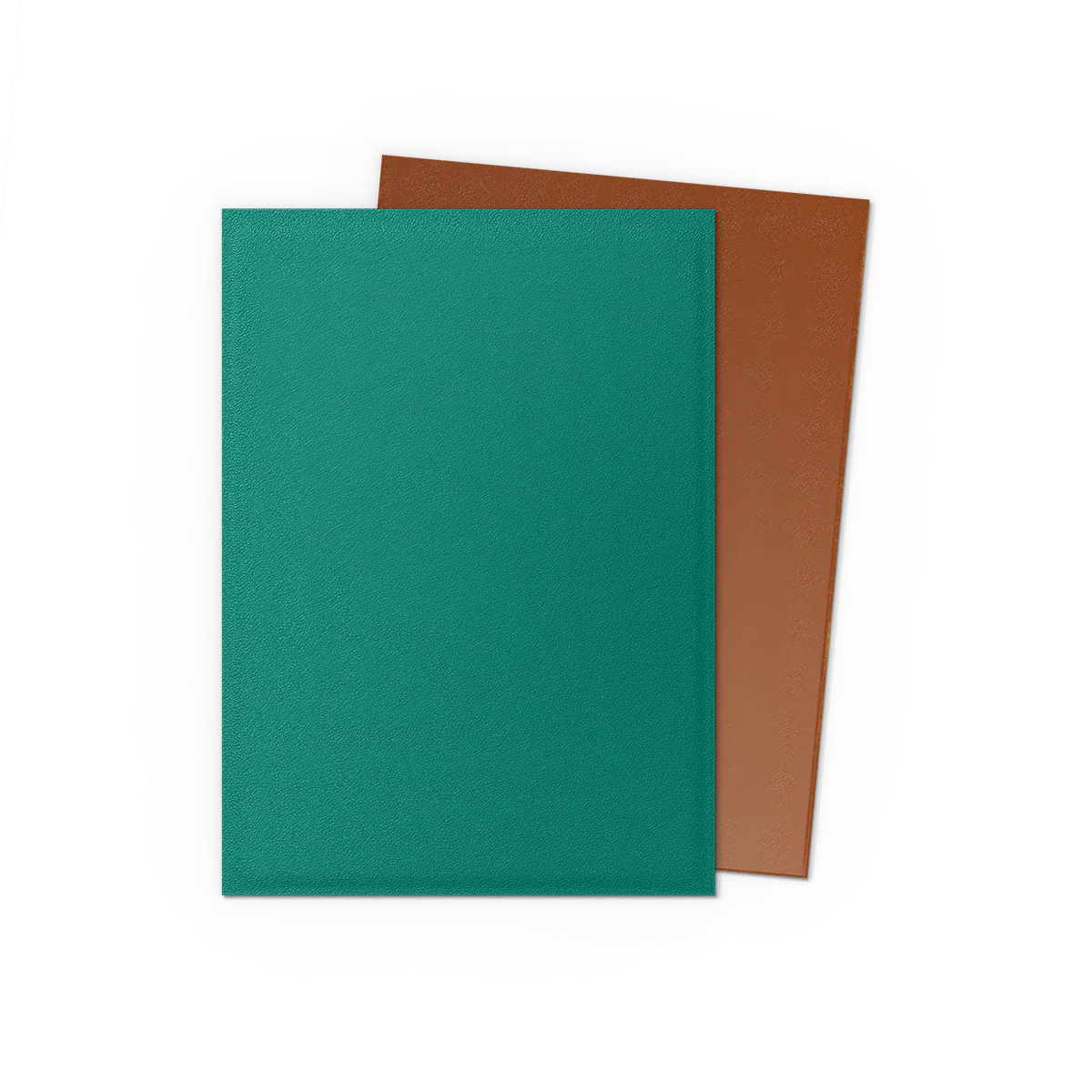 Dragon Shield Sleeves - Dual Matte - Standard Size