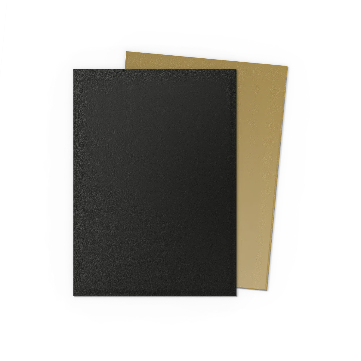 Dragon Shield Sleeves - Dual Matte - Standard Size